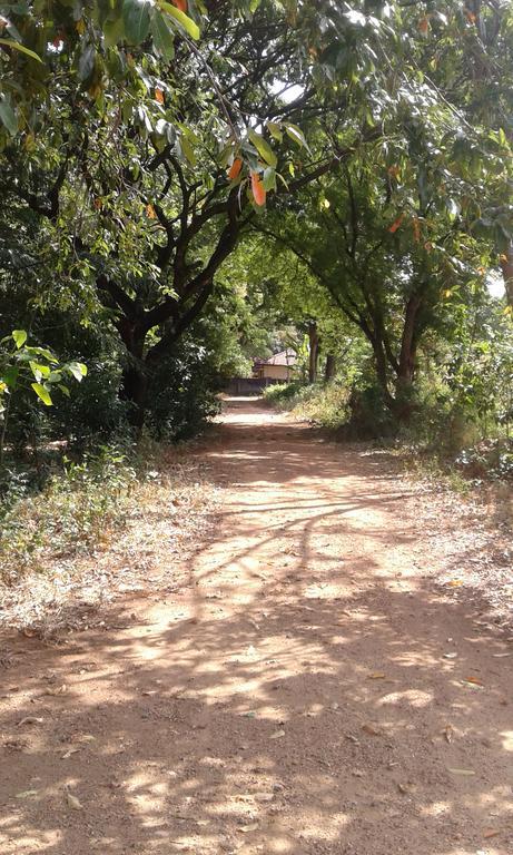 Miracle Home Stay Dambulla Exteriér fotografie